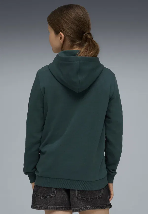 Толстовка Manchester City Ftblculture Club Wear Puma, зеленый террейн-си гласс — фото 3