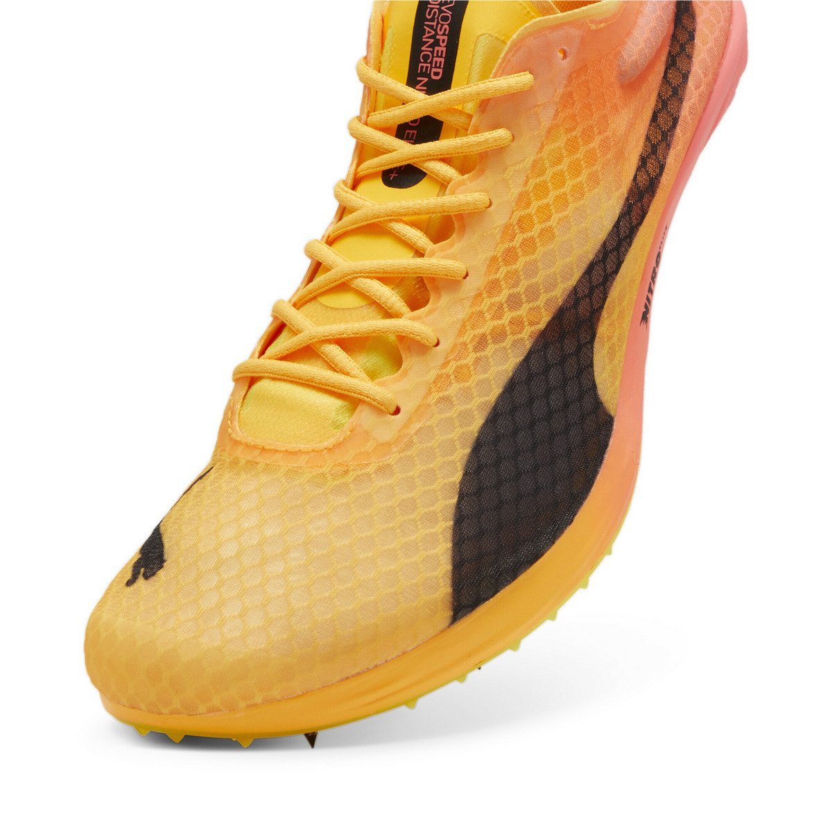 Мужские легкоатлетические шиповки evoSPEED Distance Nitro Elite+4 PUMA, Sun Stream-Suns — фото 3