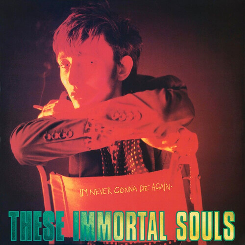

Виниловая пластинка LP I'm Never Gonna Die Again - These Immortal Souls