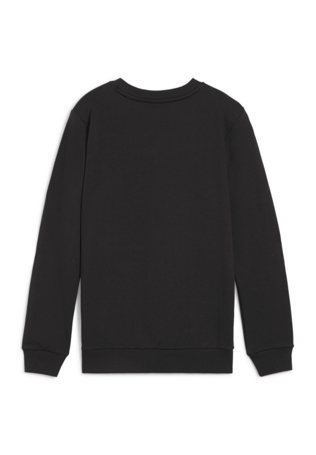 Толстовка Puma teamGOAL Casuals Crew Neck Sweat Jr, черный — фото 2