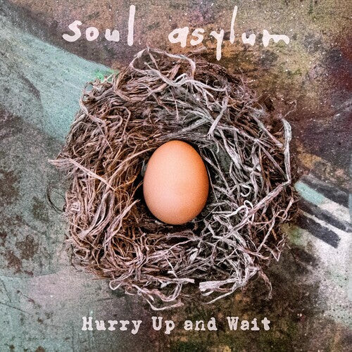 

CD диск Soul Asylum: Hurry Up & Wait