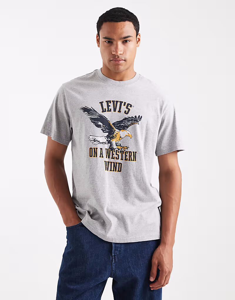 

Футболка свободного кроя с логотипом Varsity Eagle серого меланжевого цвета Levi'S, Серый, Футболка свободного кроя с логотипом Varsity Eagle серого меланжевого цвета Levi'S