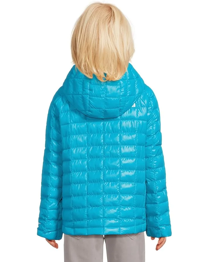 Куртка The North Face Kids ThermoBall Hooded Jacket (Toddler), Meridian Blue — фото 2