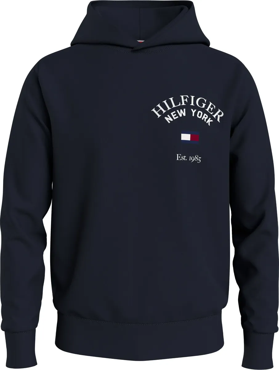 

Толстовка Tommy Hilfiger Big & Tall "BT-ARCHED VARSITY HOODY-B", цвет Desert Sky