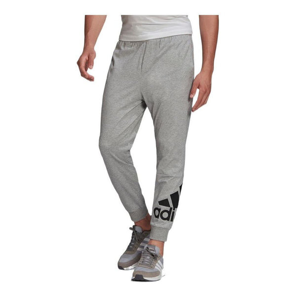 

Спортивные штаны Men's adidas Pants Large Logo Sports Pants/Trousers/Joggers Gray, серый