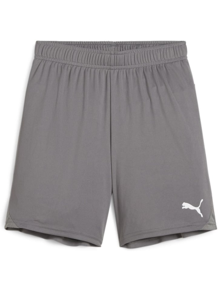 

Спортивные шорты TeamGoal Shorts Jr серого цвета Puma