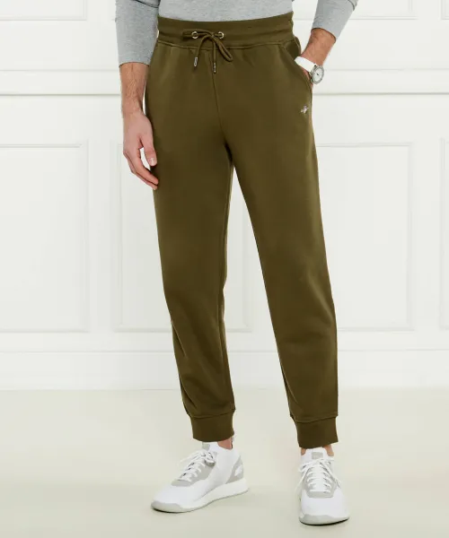 

Спортивные штаны Regular fit Gant, зеленый