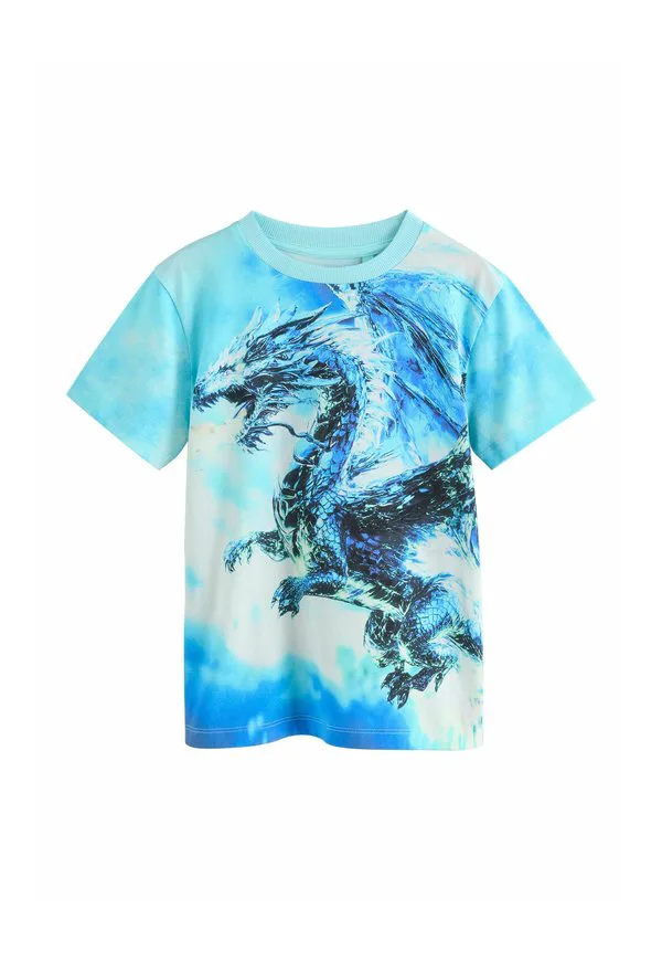 Футболка с коротким рукавом и стандартным принтом по всей поверхности Next, White Blue Dragon