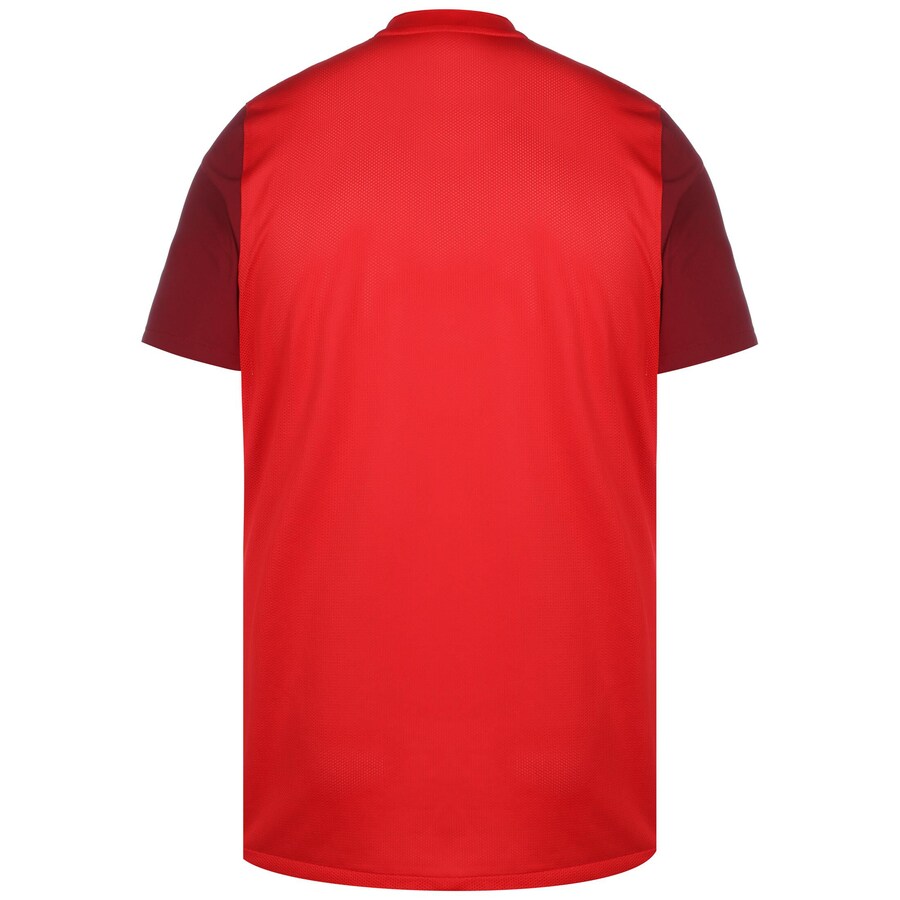 Джерси NIKE Trophy V, Red/Dark red — фото 2