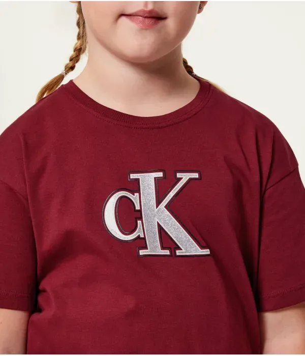 Футболка regular fit Calvin Klein Jeans, бордовый — фото 4
