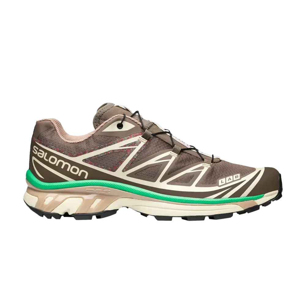 Кроссовки XT-6 Mindful 2 Salomon, коричневый