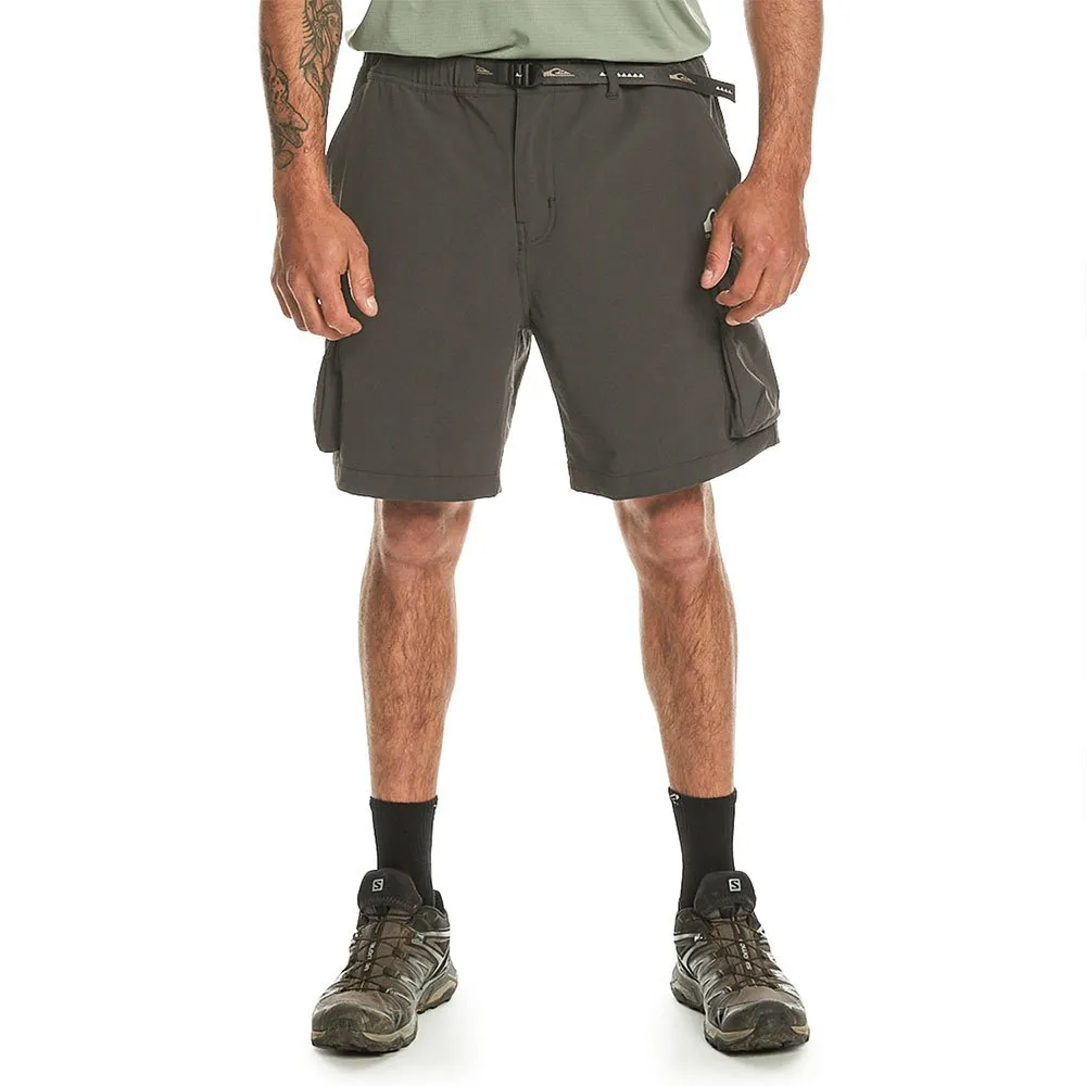 

Шорты Quiksilver Run Ae, серый