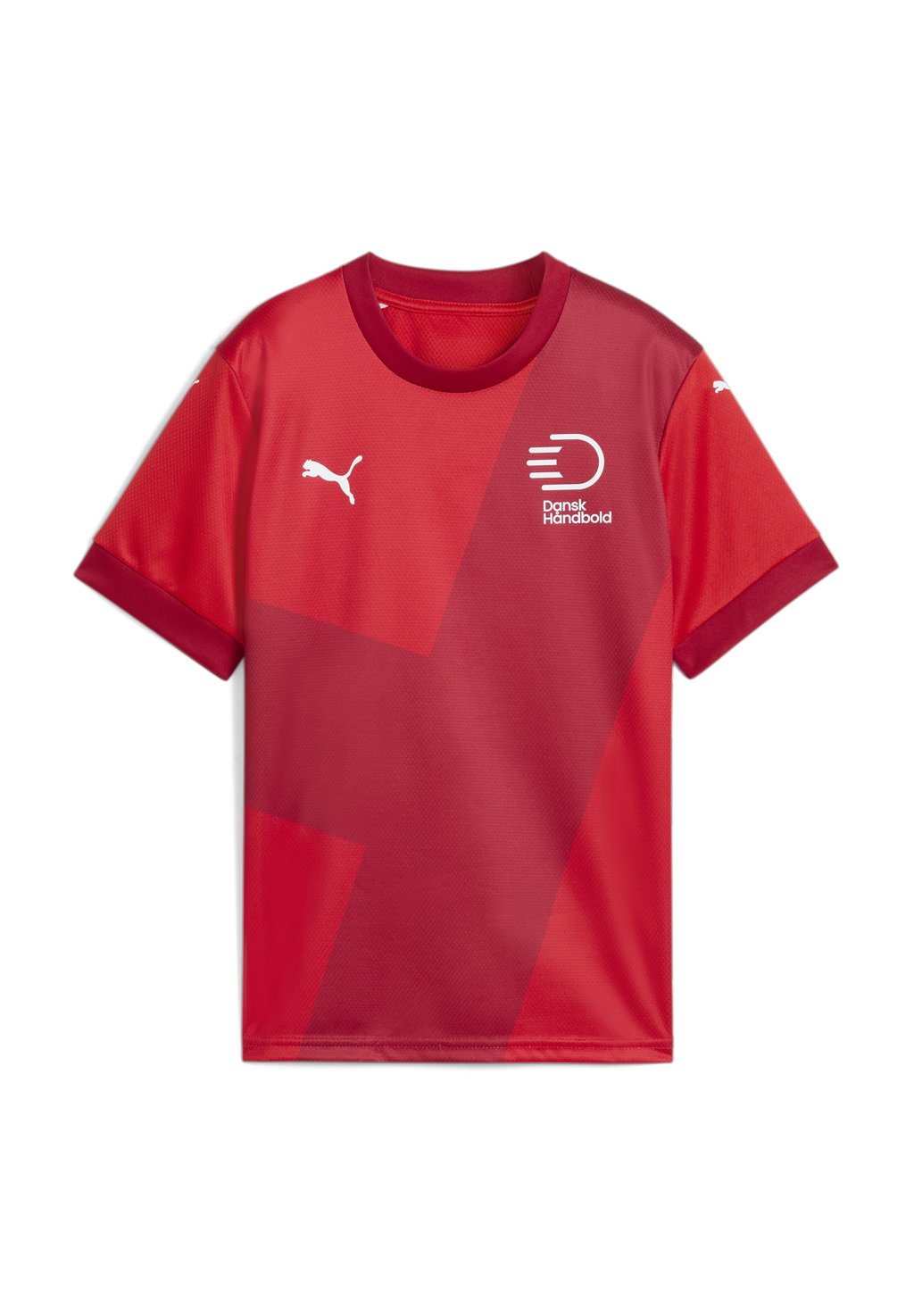 

Футболка с принтом DÄNISCHER HANDBALLBUND Puma, красный
