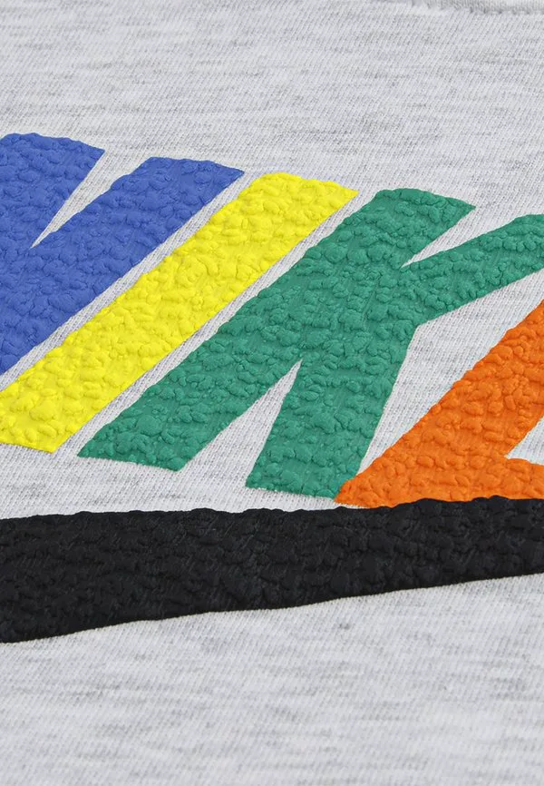 Футболка унисекс с принтом "клубная семья" Nike Sportswear, Birch Heather — фото 4