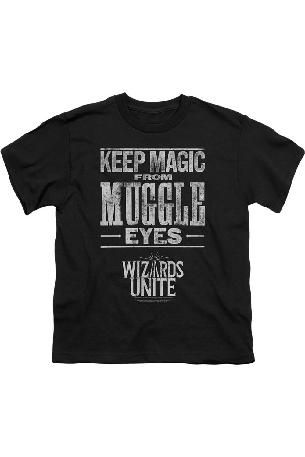 

Футболка с коротким рукавом Harry Potter Wizards Unite "Тайная магия" для детей Gildan, черный