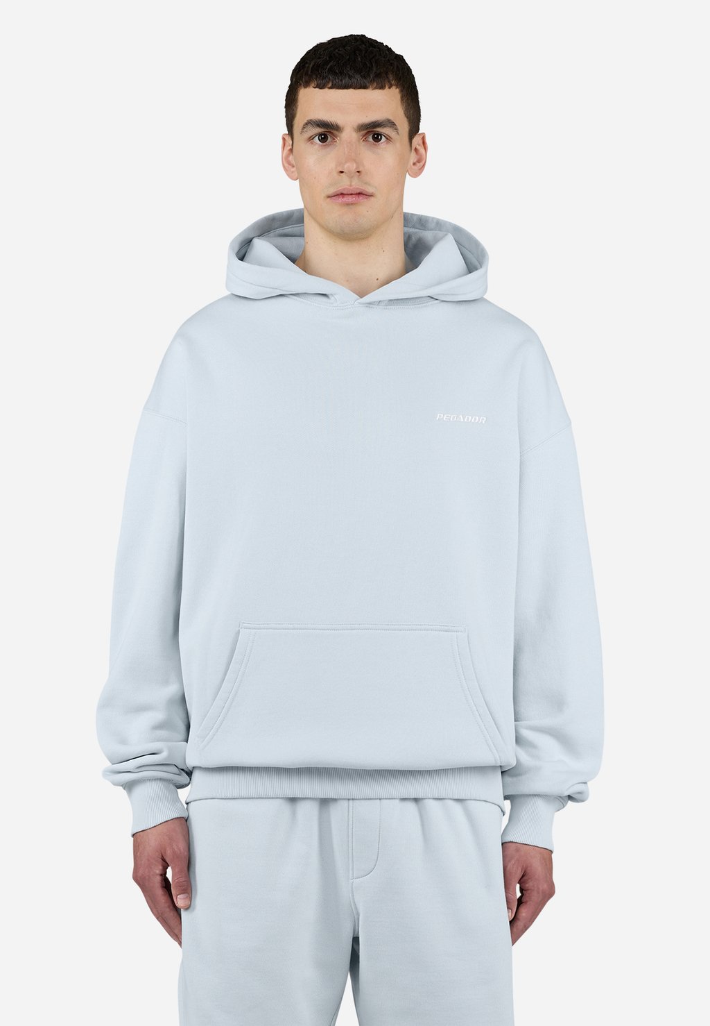 

Толстовка с капюшоном LOGO OVERSIZED HOODIE Pegador, светло-голубой