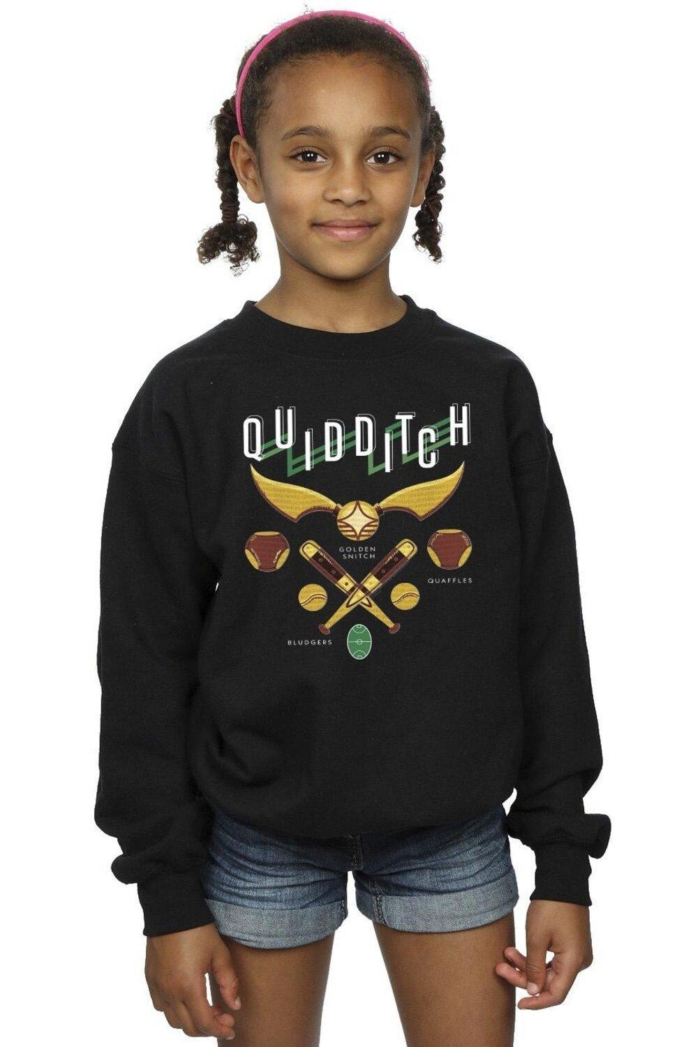

Толстовка Quidditch Bludgers Quaffles Harry Potter, черный