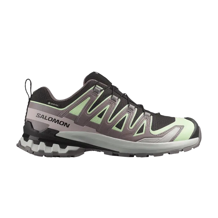 Кроссовки Salomon Wmns XA Pro 3D V9 GORE-TEX, Black Grey Violet