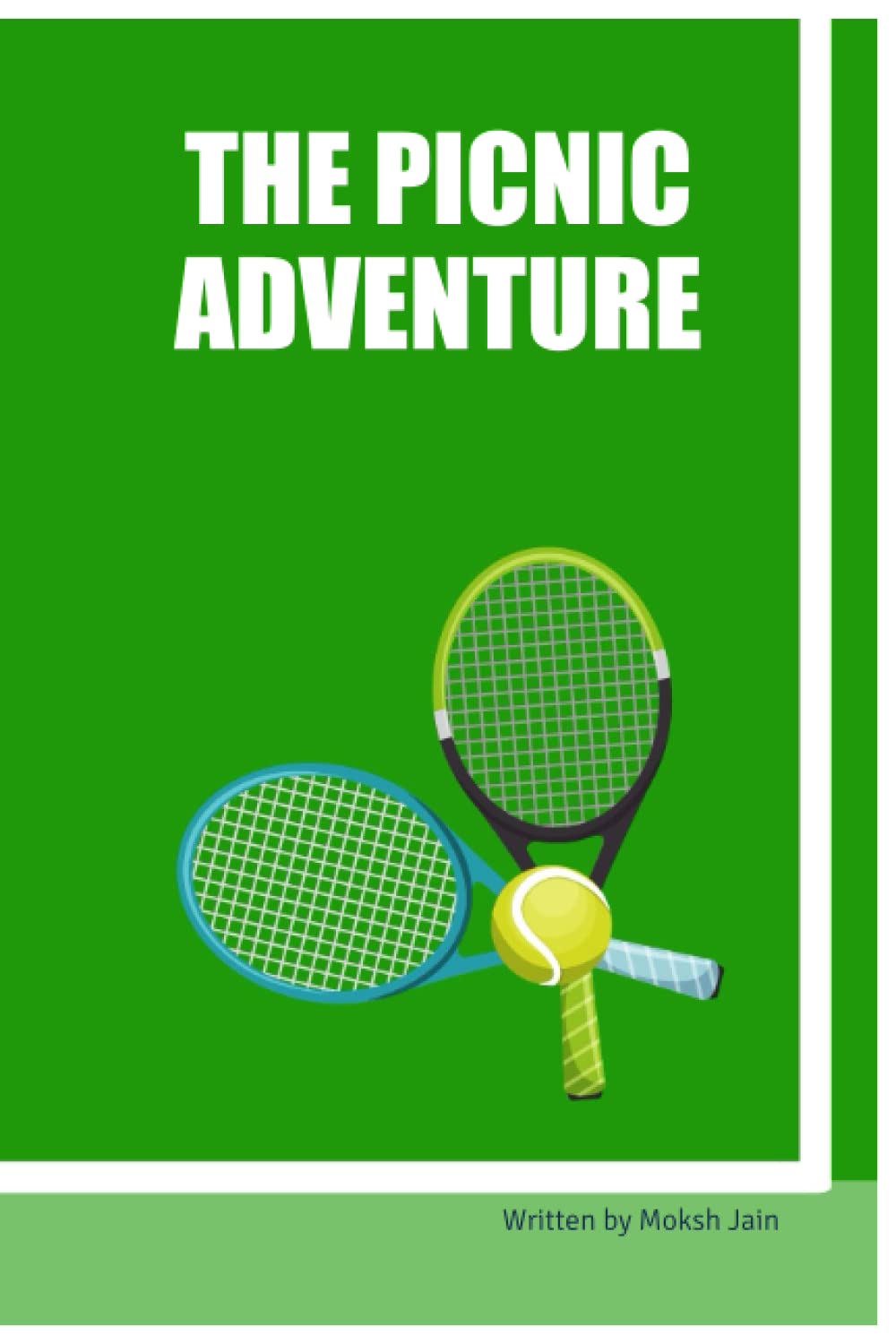 

THE PICNIC ADVENTURE (BriBooks)