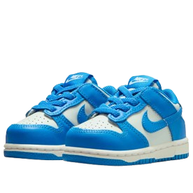 (TD) Nike Dunk Low 'Light Silver Sail Light Photo Blue' — фото 3