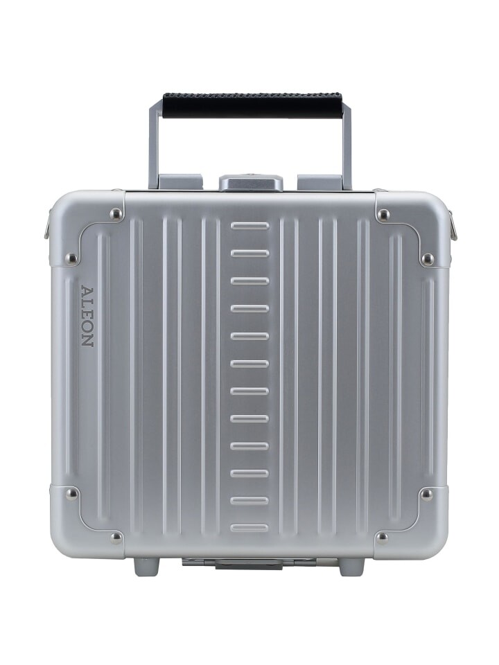 

Косметичка Aleon Diversty 27 cm, цвет platinum