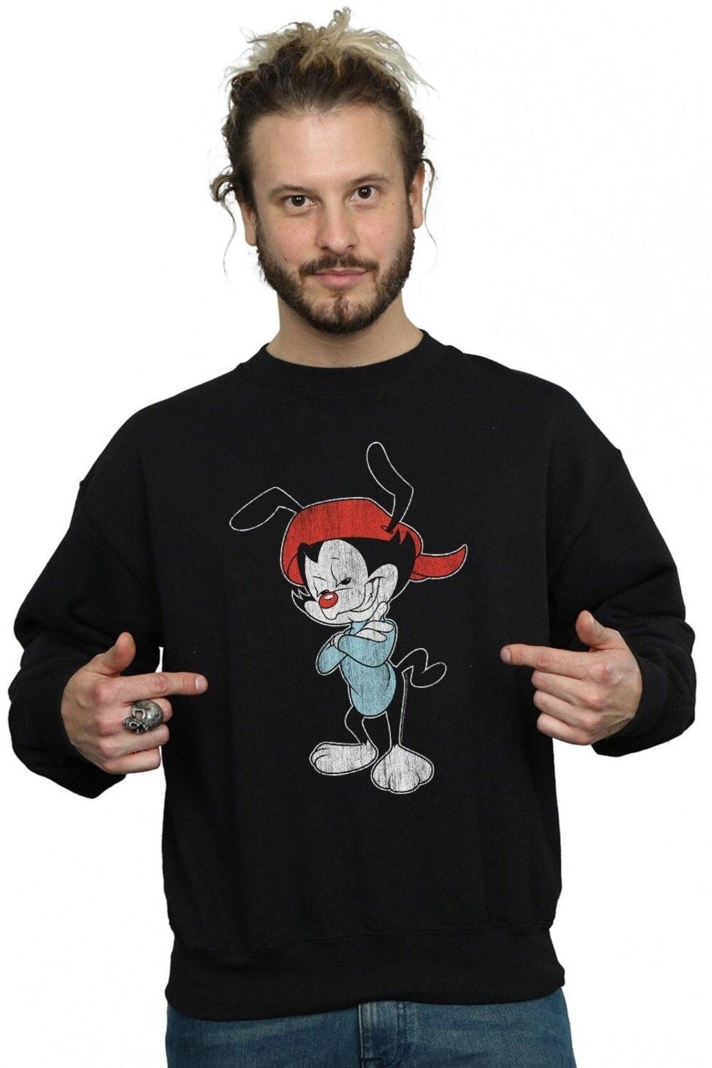 

Толстовка Wakko Classic Pose Animaniacs, черный