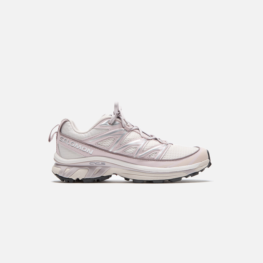 

Кроссовки Salomon XT-6 Expanse Seasonal, цвет Lilac Ash/Cloud Gray/Sha