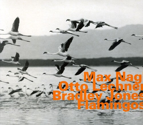 

CD диск Nagl: Lechner