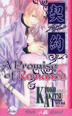 

Новелла A Promise of Romance Novel