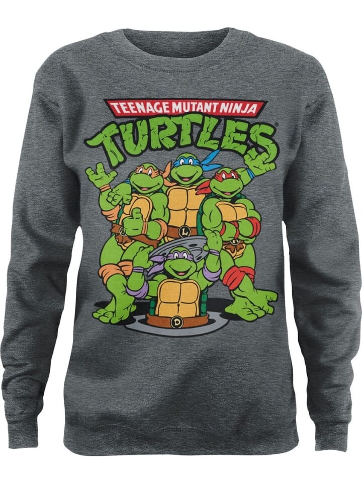 

Пуловер Teenage Mutant Ninja Turtles, серый