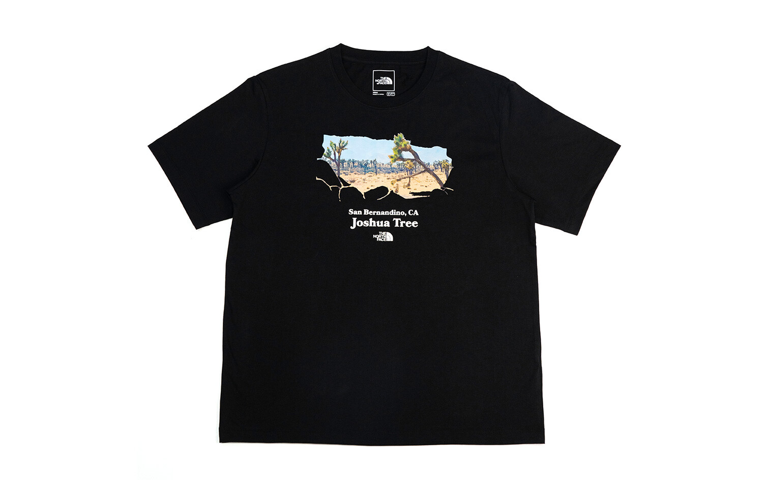 

THE NORTH FACE Мужская футболка, цвет Black
