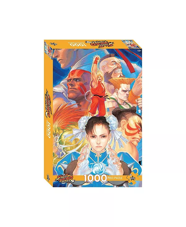 Street Fighter Series 1 пазл из 1000 деталей Icon Heroes, open miscellaneous