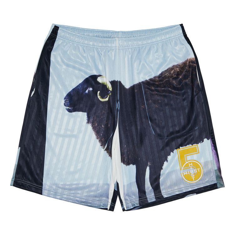 

Шорты Supreme x Damien Hirst Soccer Short, Black