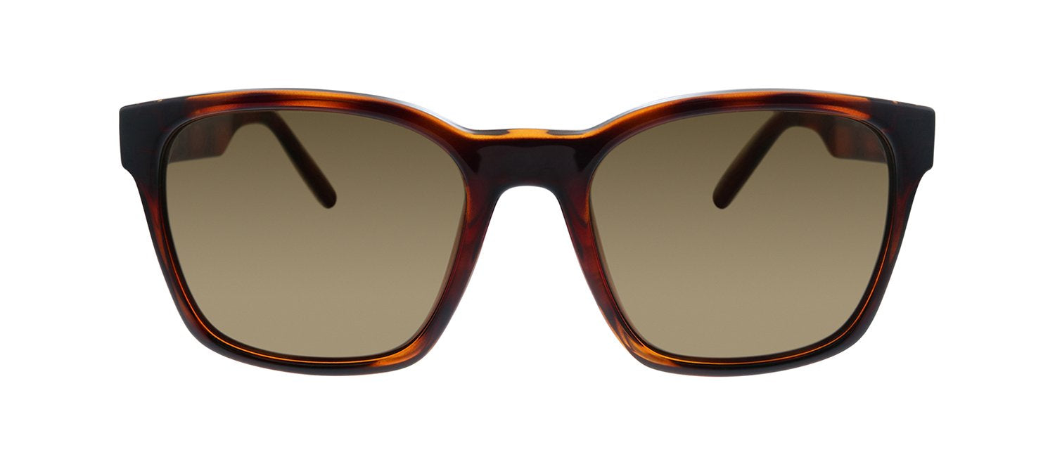 

Квадратные солнцезащитные очки Salvatore Ferragamo SF 959S 214, цвет multi