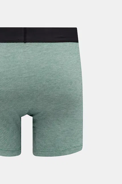 Боксеры мужские из мягкого хлопка 2 шт Levi's, зеленый — фото 4