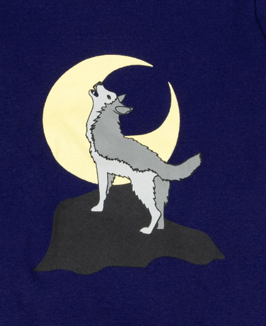 Детская хлопковая пижама из топа и флисовых штанов для отдыха Leveret, Wolf — фото 2