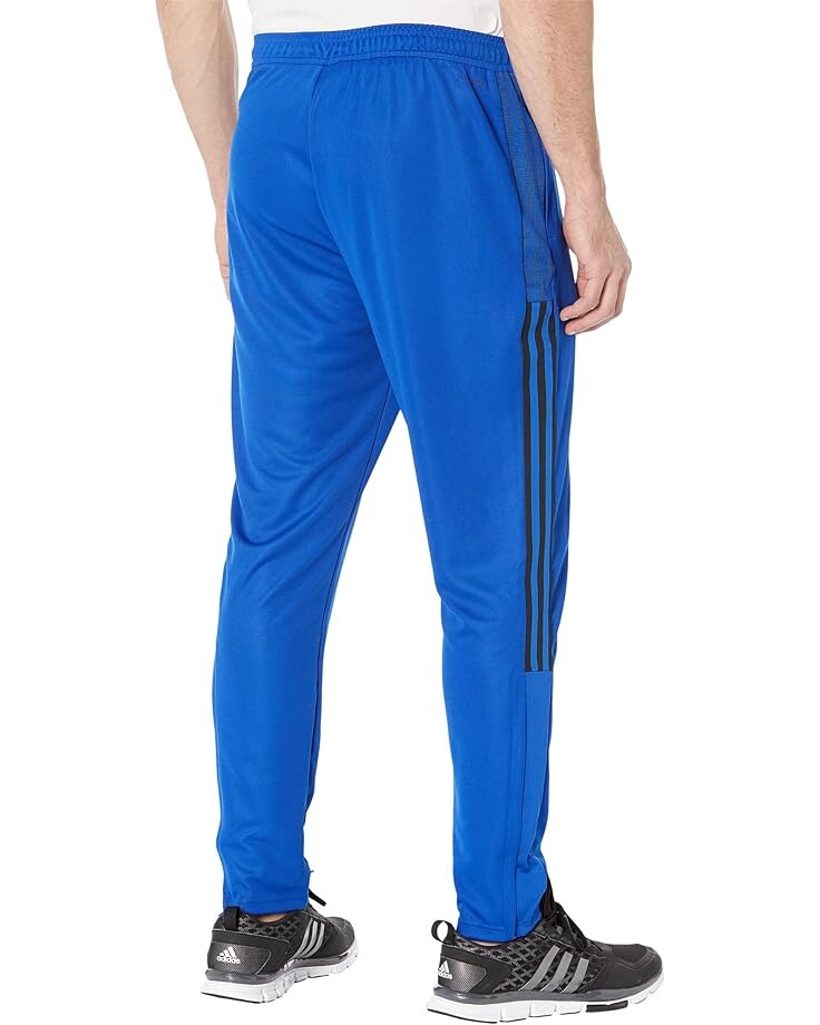 

Брюки Adidas Plus Size Adicolor Essentials Fleece Pants, цвет Medium Grey Heather