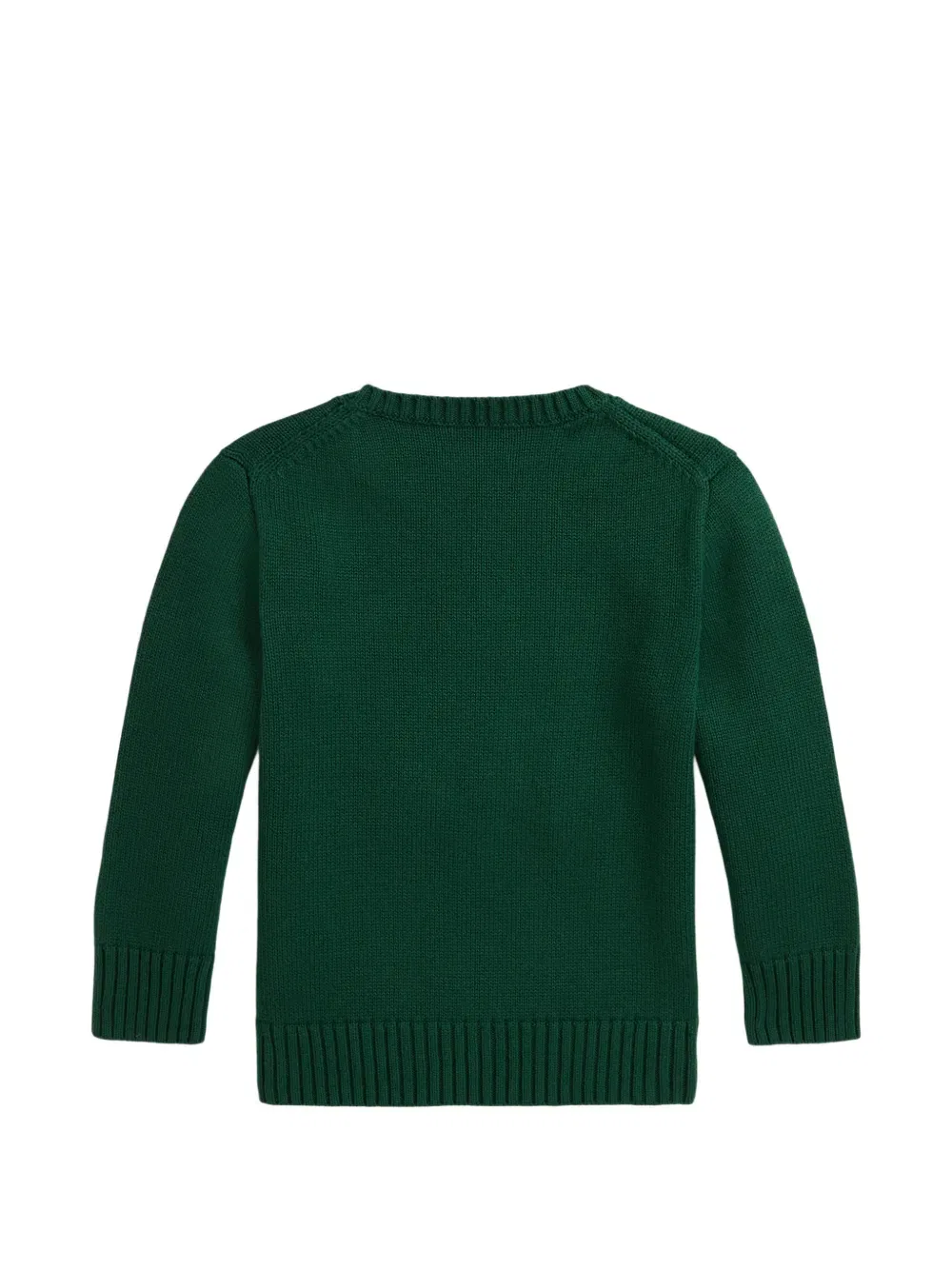 Свитер с изображением бульдога, связанный интарсией Polo Ralph Lauren Kids, зеленый — фото 2