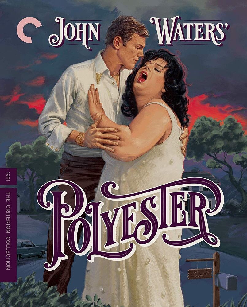 

Диск Blu-ray Polyester [1981] [Criterion]
