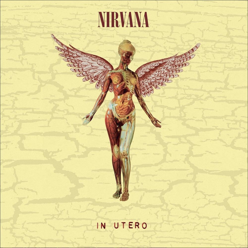 

Диск CD In Utero [30th Anniversary Deluxe Edition] - Nirvana