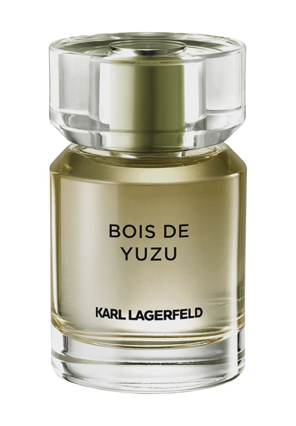 

Туалетная вода 50ml KARL LAGERFELD