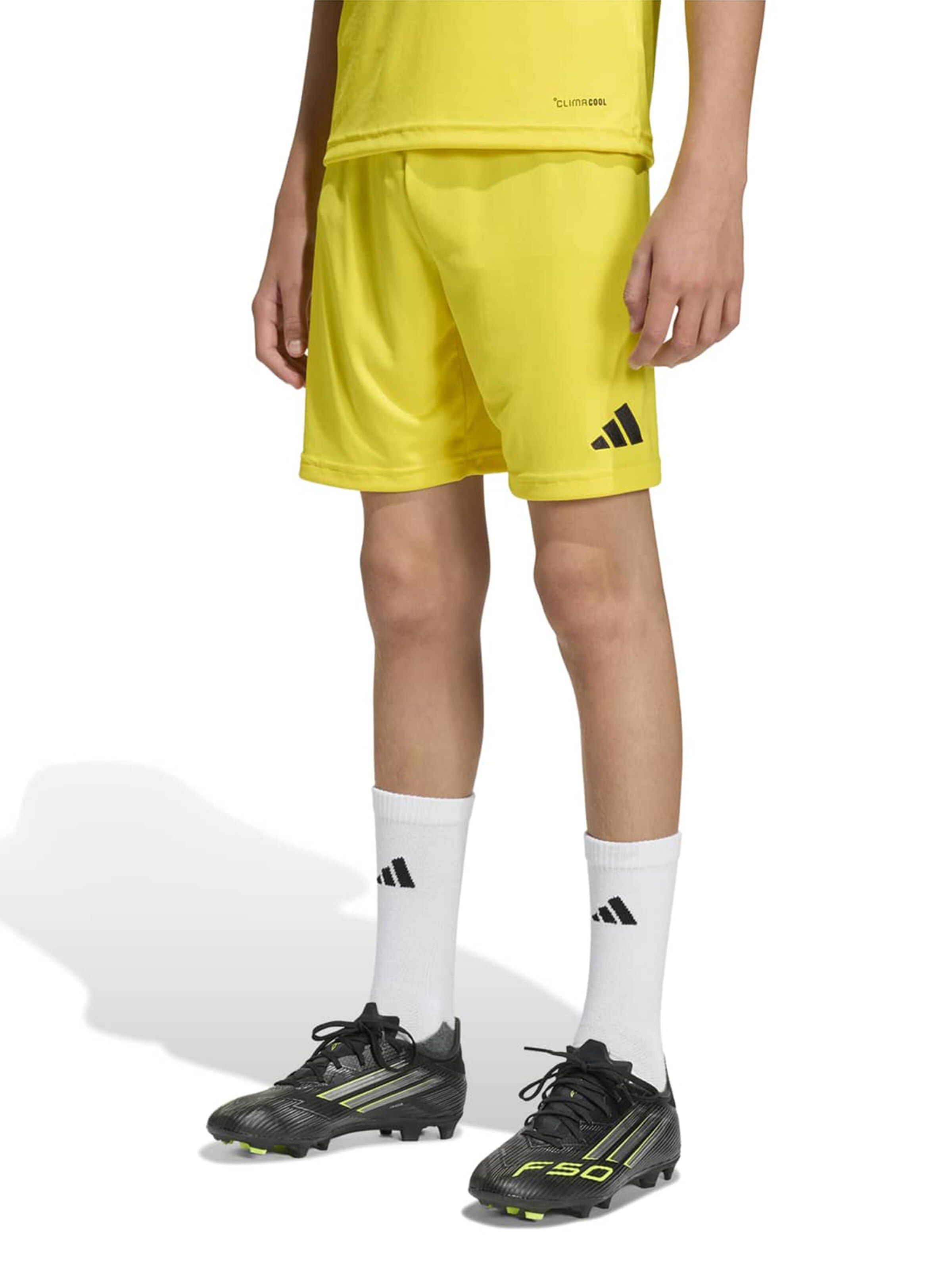 Adidas Performance Спортивные брюки Regular 'ENT26' в светло-желтом цвете — фото 2