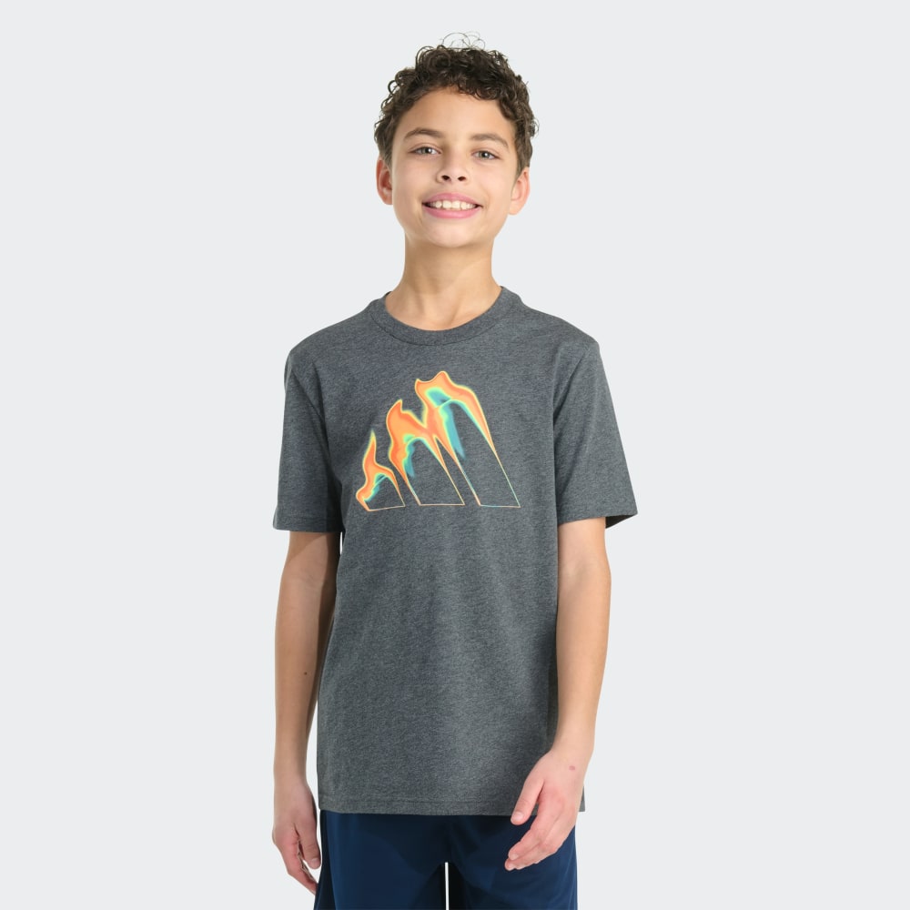 

Футболка Adidas Short Sleeve Flame Logo Heather Tee, цвет Dark Grey Heathered