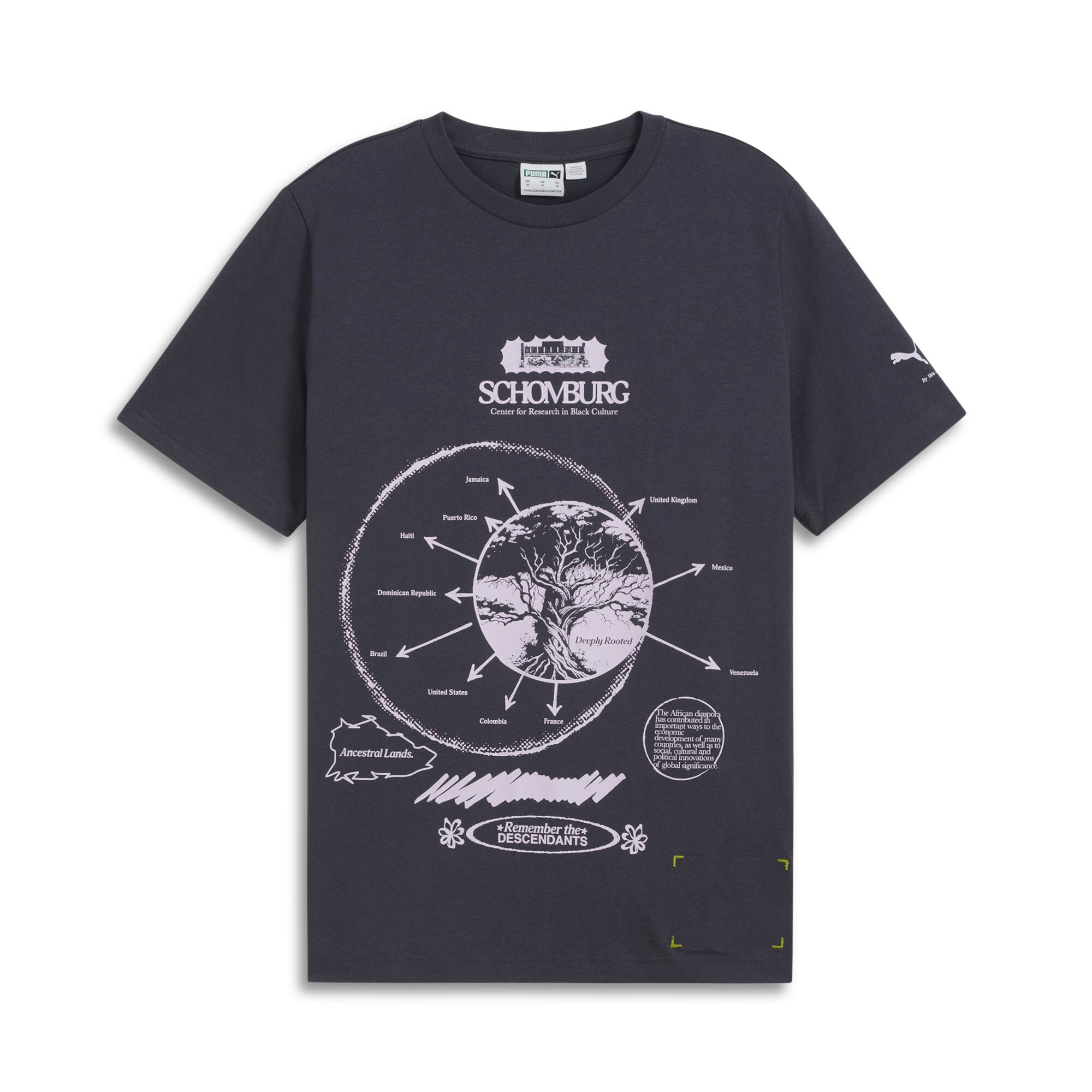 

Футболка с рисунком PUMA Men's We Are Legends x Schomburg, цвет strong gray