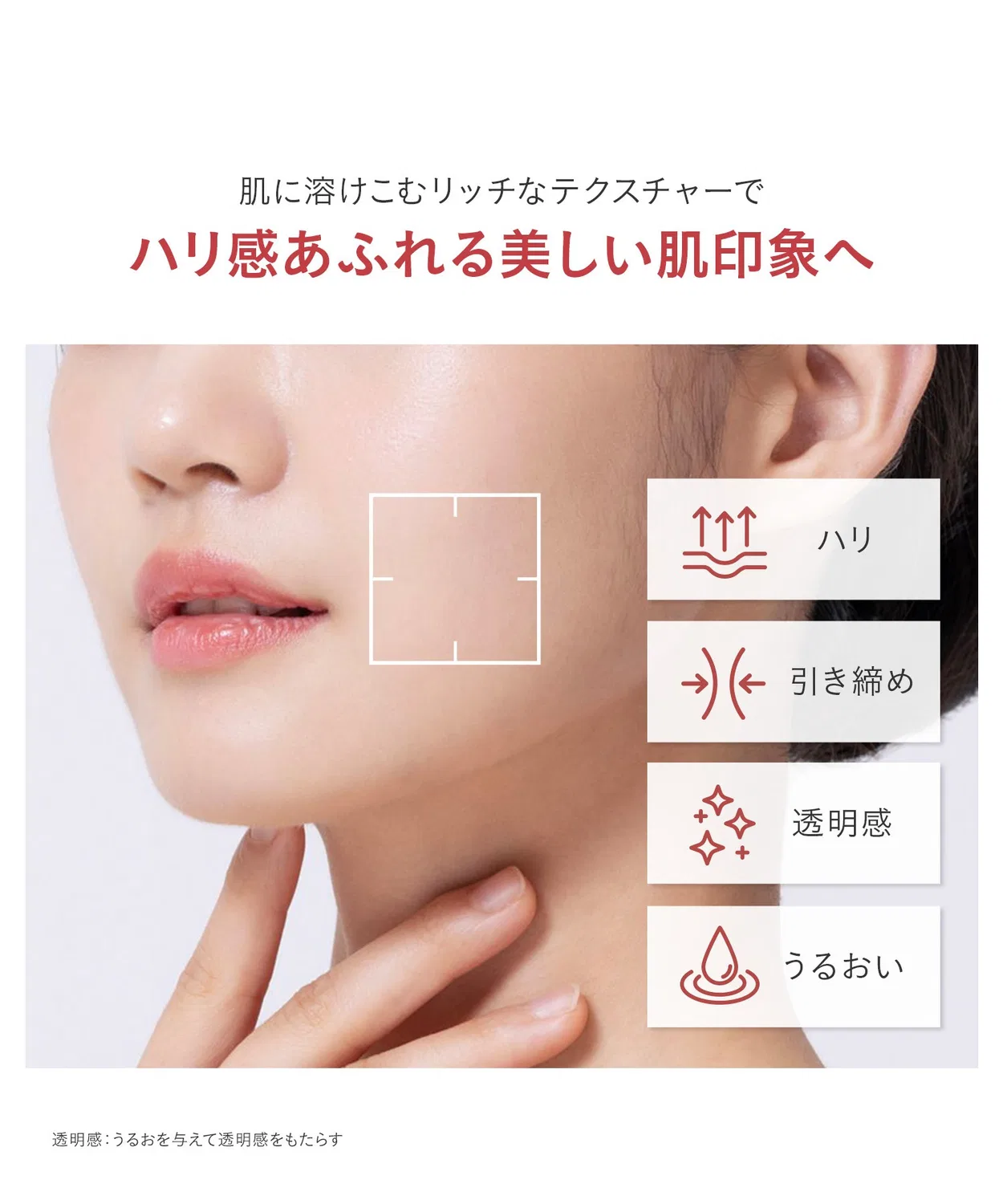 Крем антивозрастной FEMMUE Ideal Signature Cream с камелией — фото 3