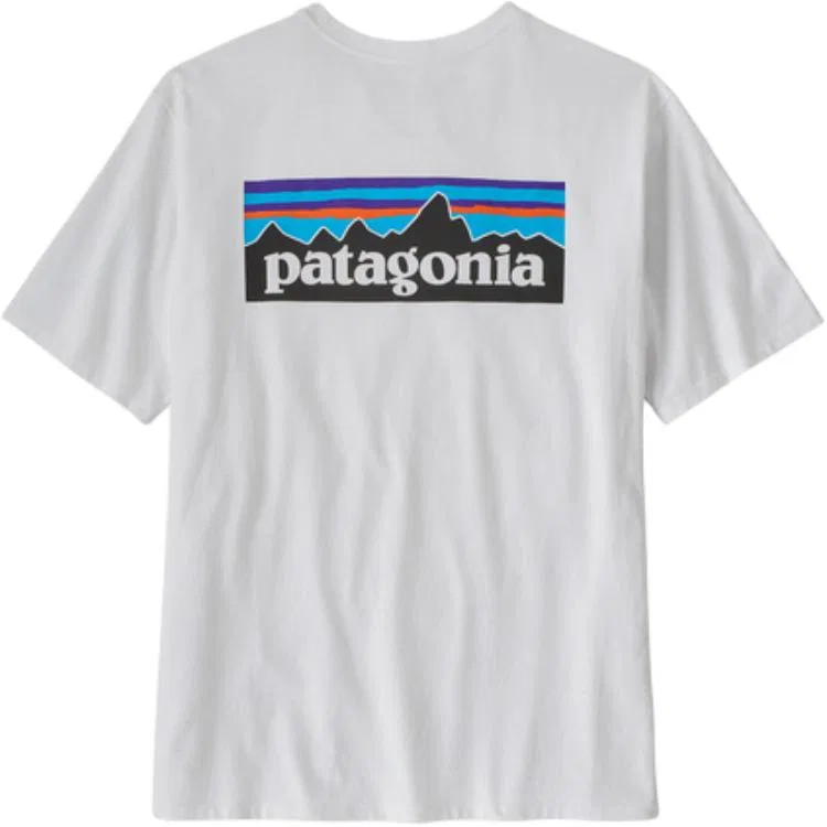 Футболка с логотипом Patagonia P-6 Responsibili-Tee лимонный — фото 3