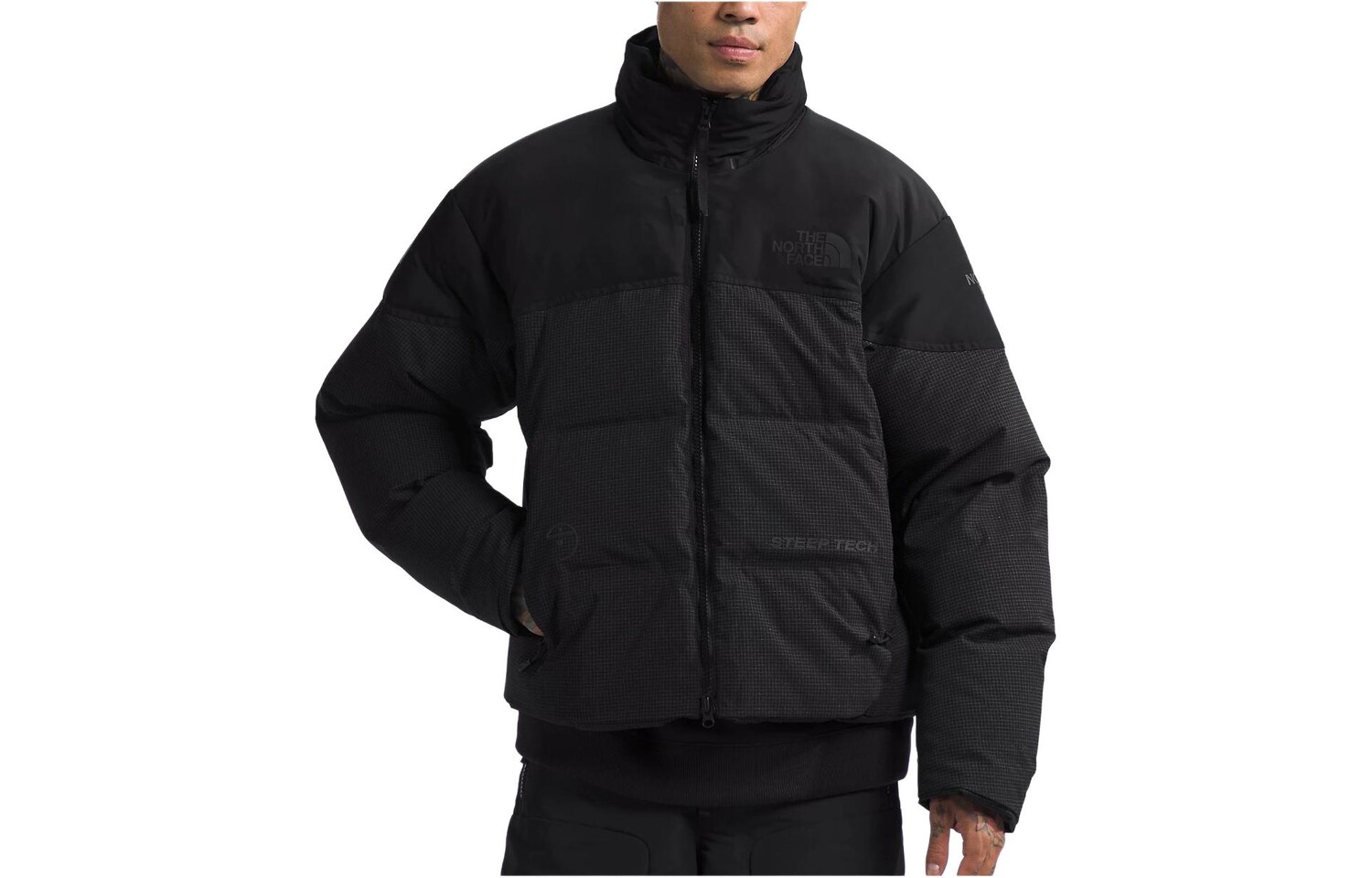 

Пуховики и пальто мужские черные The North Face, черный