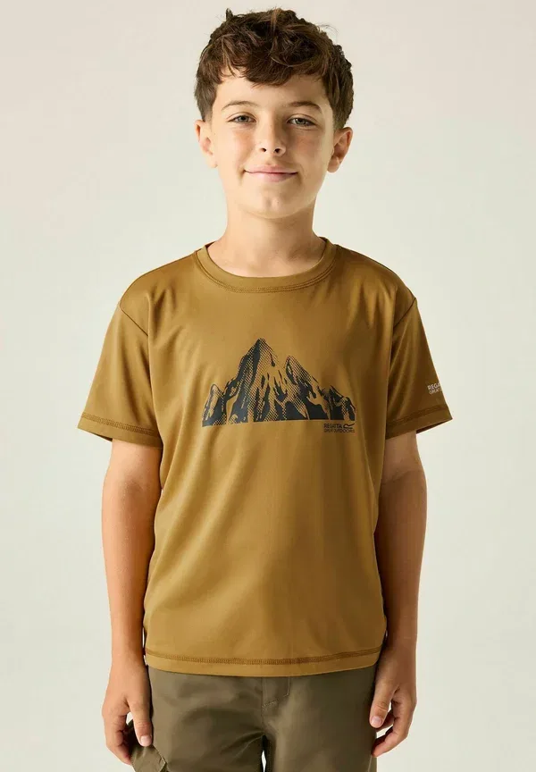 Футболка Regatta Alvarado short sleeved graphic t-shirt, коричневый — фото 2
