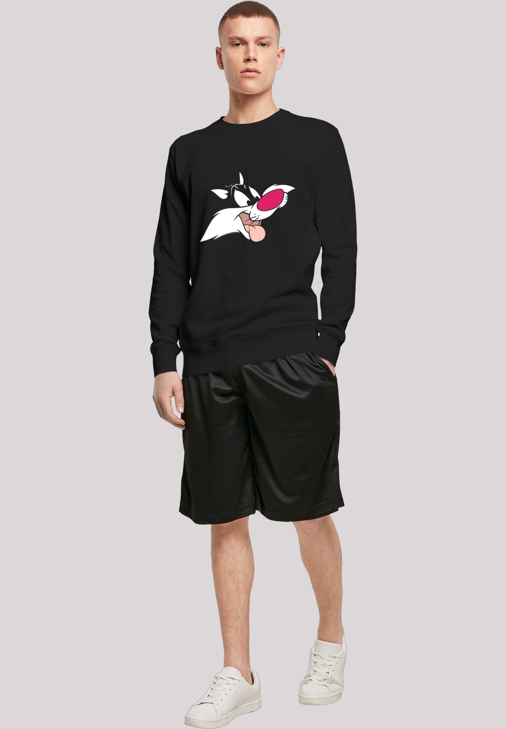 

Толстовка LOONEY TUNES SYLVESTER F4NT4STIC, черный