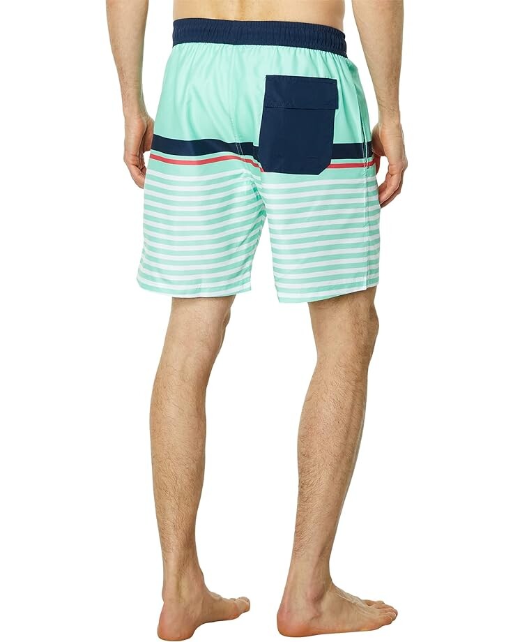 

Шорты для плавания U.S. POLO ASSN. Stripe Swim Shorts, цвет Fresh Mint